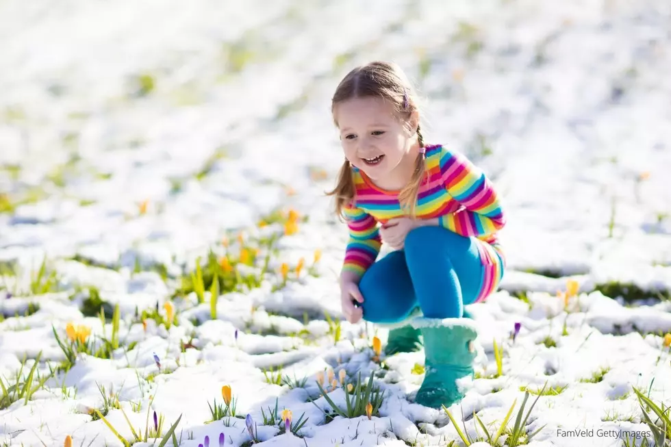 The First Sign of Spring in Minnesota has Arrived