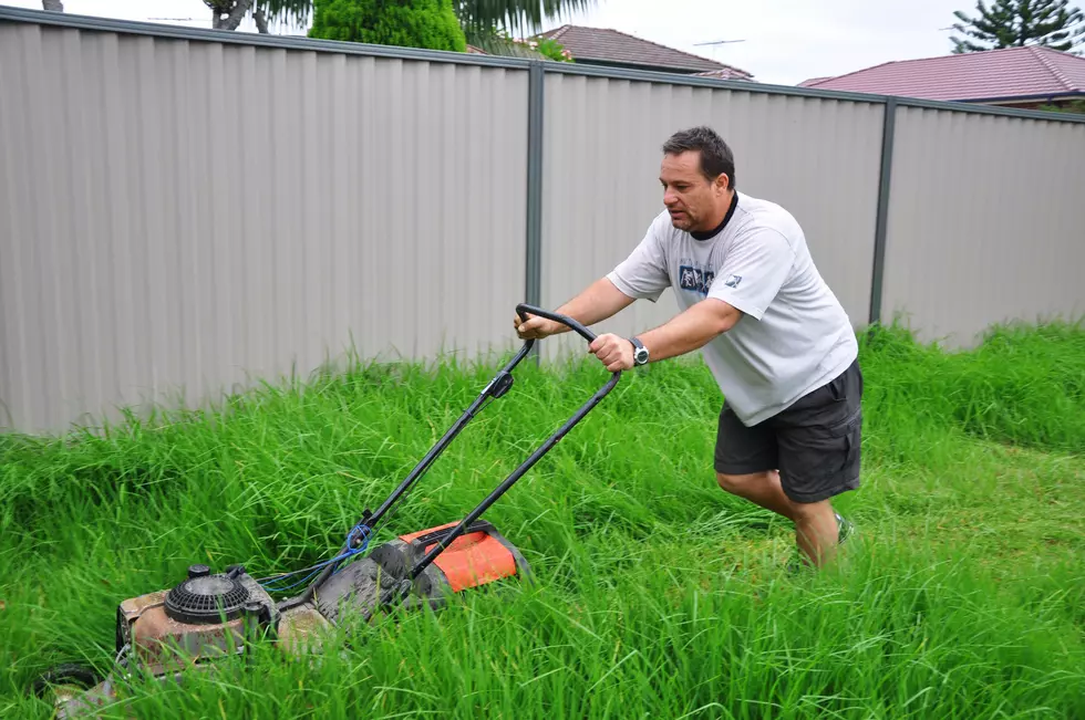 Frustrated Guy mows his Lawn