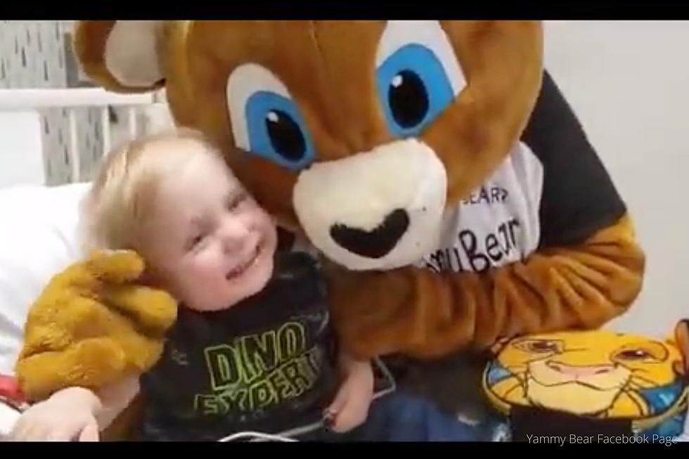 3-Year-Old at Mayo Clinic Needs One Thing to Survive – Your Kidney (VIDEO)