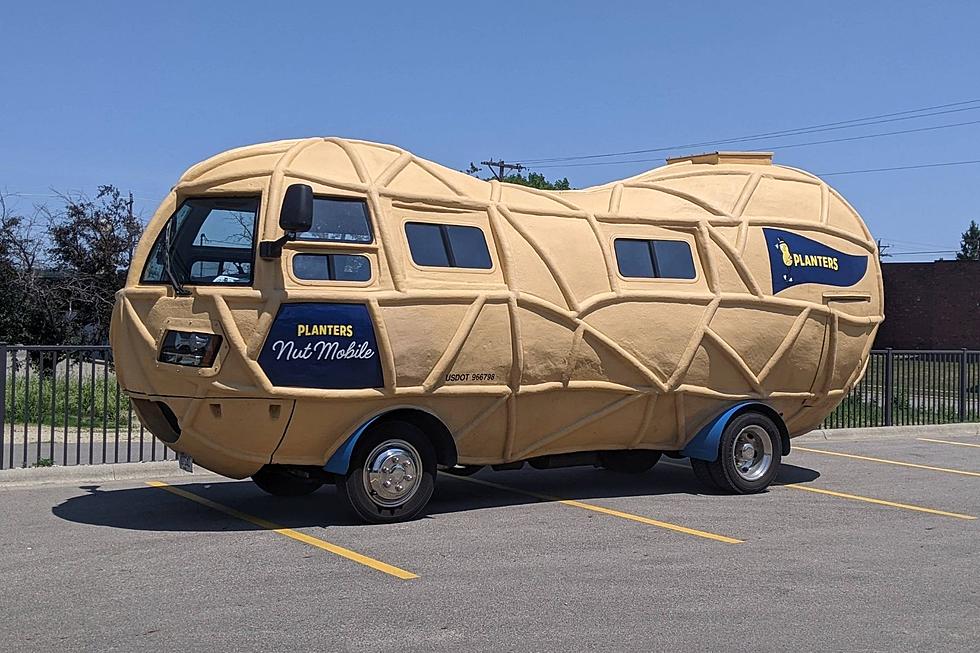 Want a Memorable Selfie? The Nutmobile was Just Found Hanging Out in Rochester