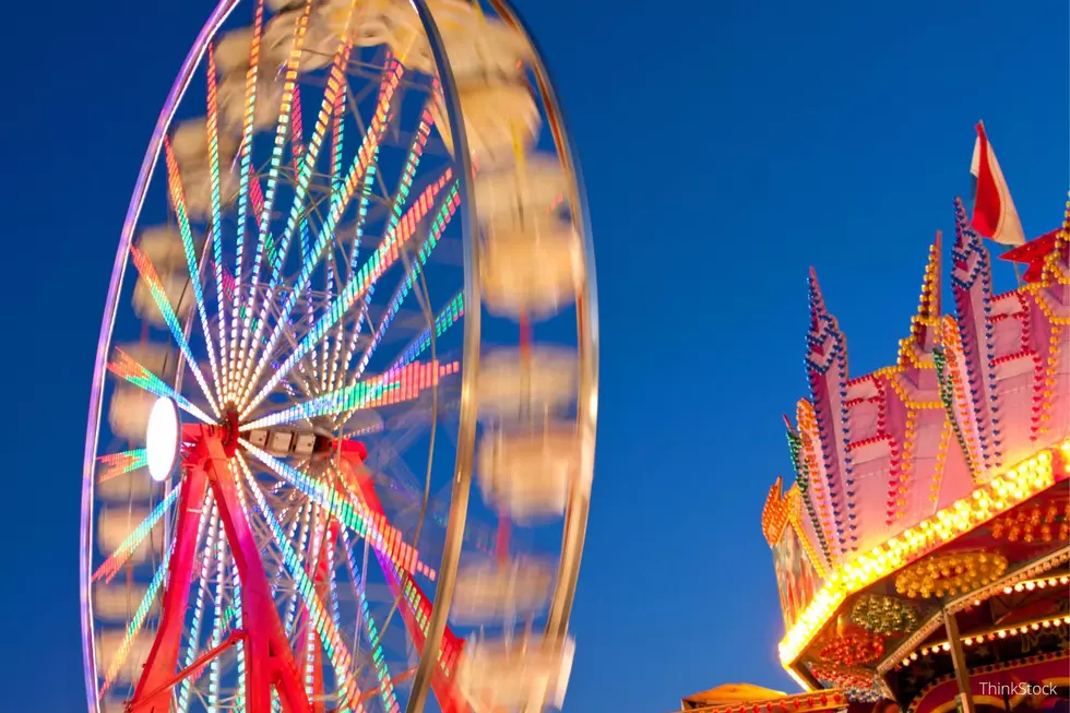 Top 10 Things People Love about the Olmsted County Fair in Minnesota