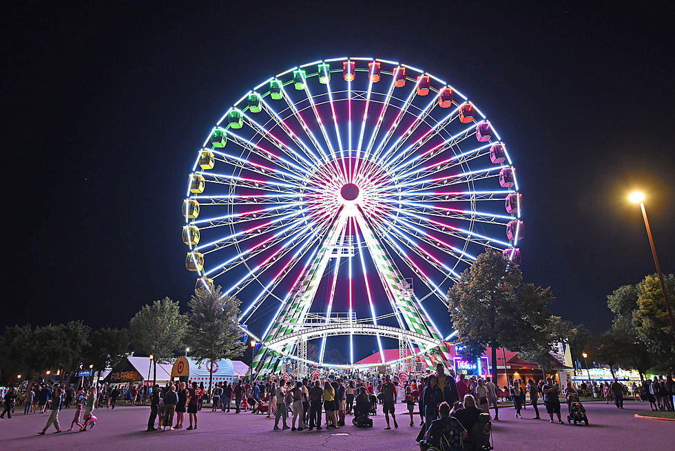 Minnesota Couple Get Engaged On the State Fair Ferris Wheel