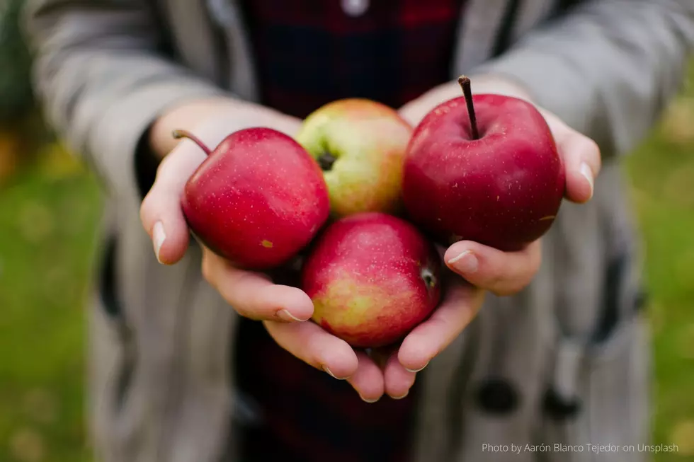 12 of the Most Amazing Apple Orchards in Southeast Minnesota