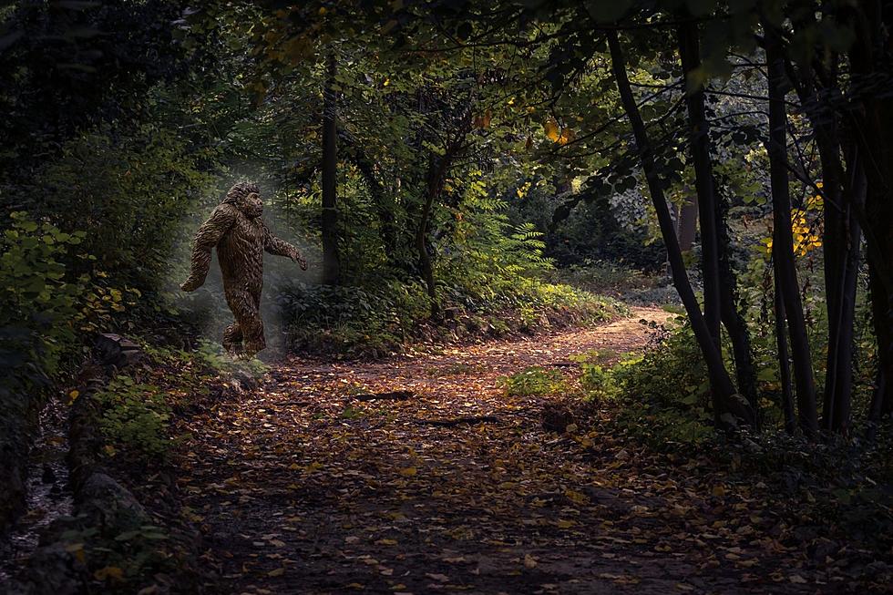 Minnesota Legend or Lie: The Hairy Man of the Vergas Trail