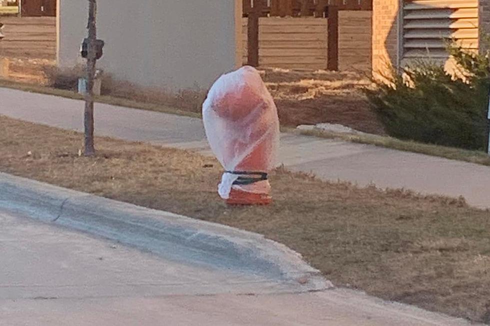 Mystery Solved: Why Rochester Puts Bags On Fire Hydrants