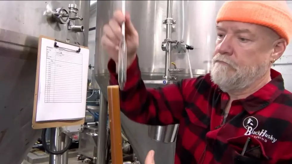 Tim Eichinger - co owner Black Huskey Brewing - WTMJ-TV