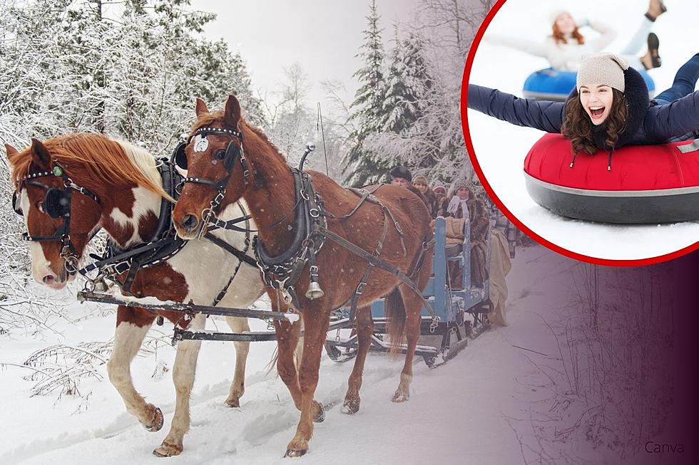 Fly Down a Hill and Enjoy Sleigh Rides on Monday in Rochester