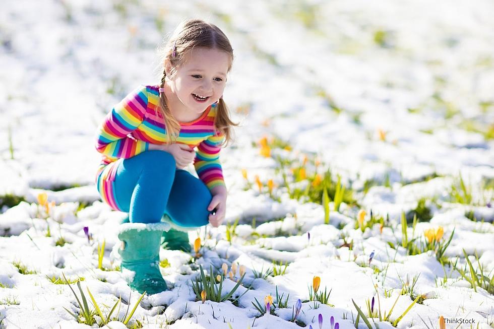 Popular Sign of Spring in MN