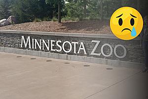 Heartbreaking Announcement From Popular Zoo In Minnesota