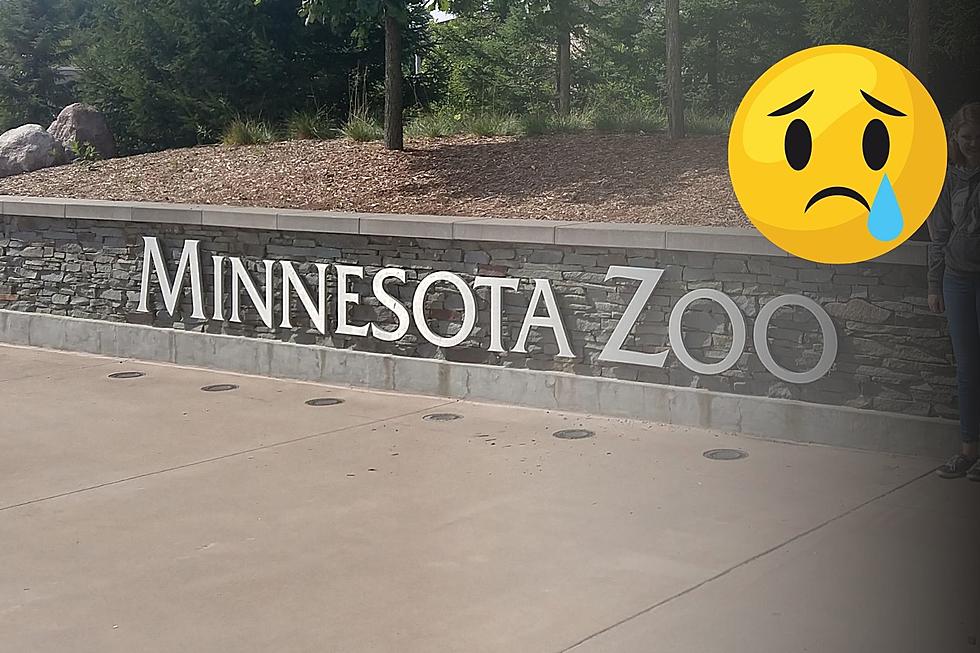 One of Minnesota’s Favorite Animals Passed Away Suddenly at Zoo