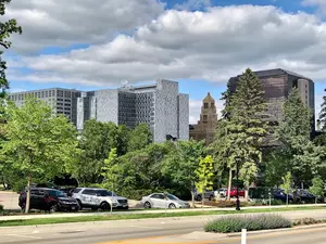 Rochester Business Weigh in on Operating Environment