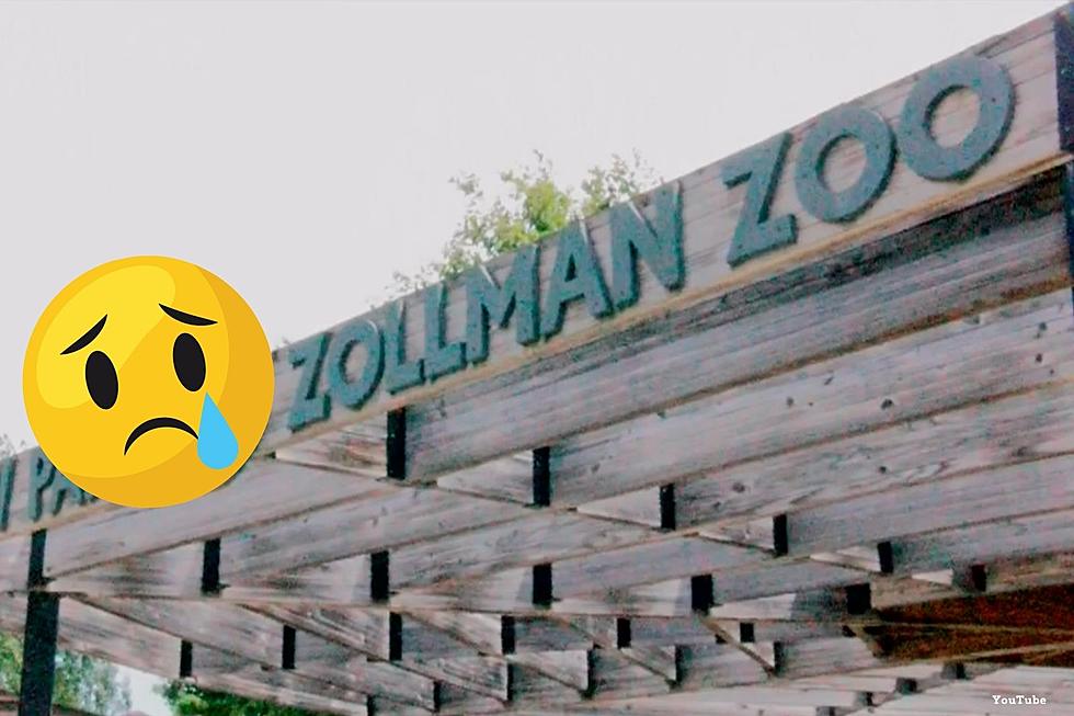 Hearts are Sad After Latest Announcement from SE Minnesota Zoo