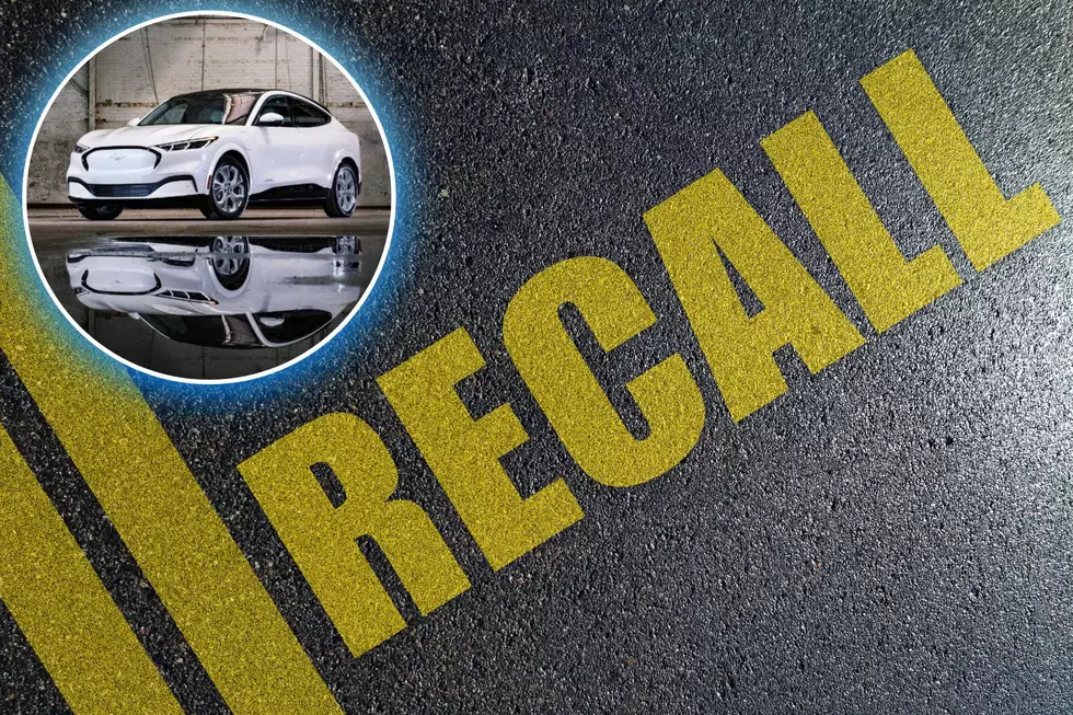 Look, Minnesota: 48,924 E-Cars Recalled For Unexpected Stops