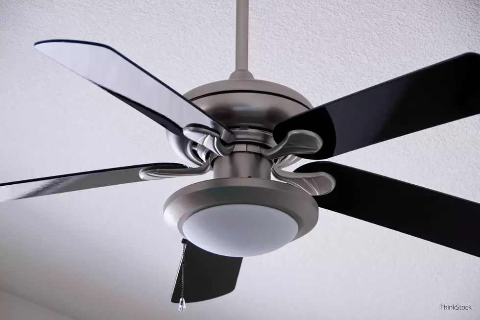 One Thing Everyone in Minnesota Should Do to Their Ceiling Fans in the Winter