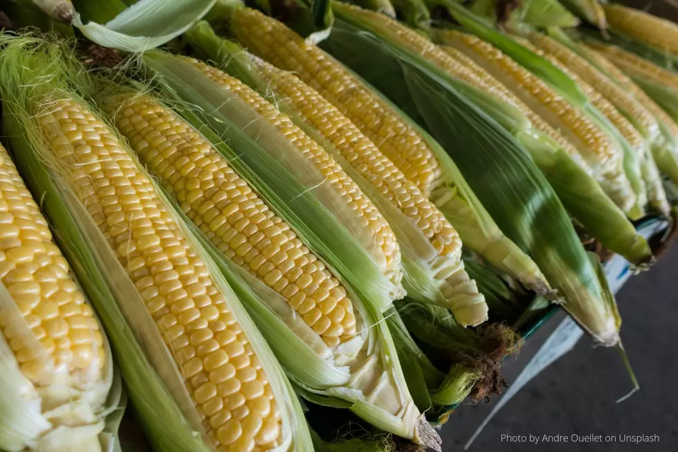 Most Amazing Corn On The Cob Hack Everyone in Minnesota Will Love