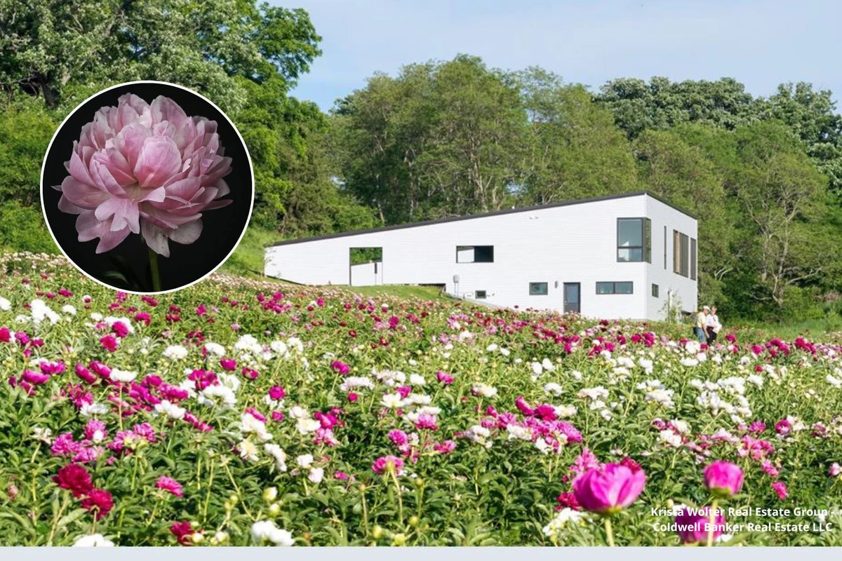 Breathtaking Flower Farm Now for Sale in Southeast Minnesota