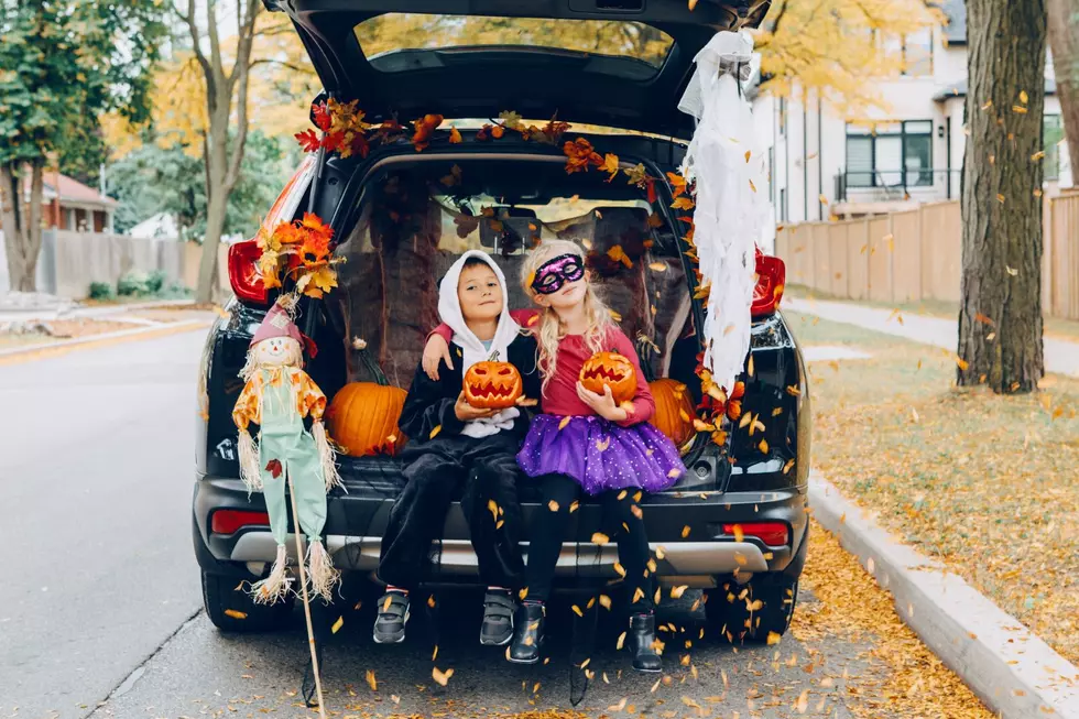 20+ Amazing Trunk-or-Treat Events In and Around Rochester
