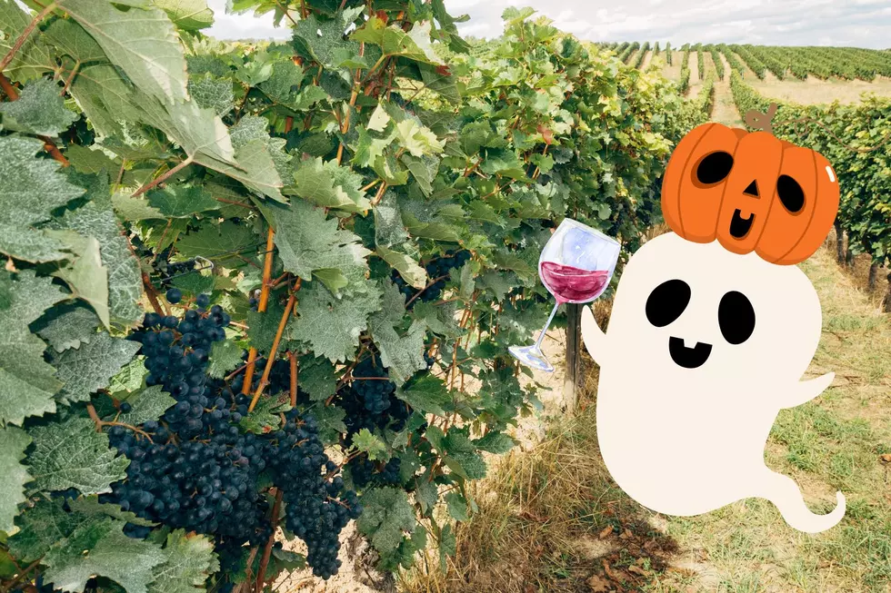 You’ll Love The Spooky Halloween Wine Walk in Rochester
