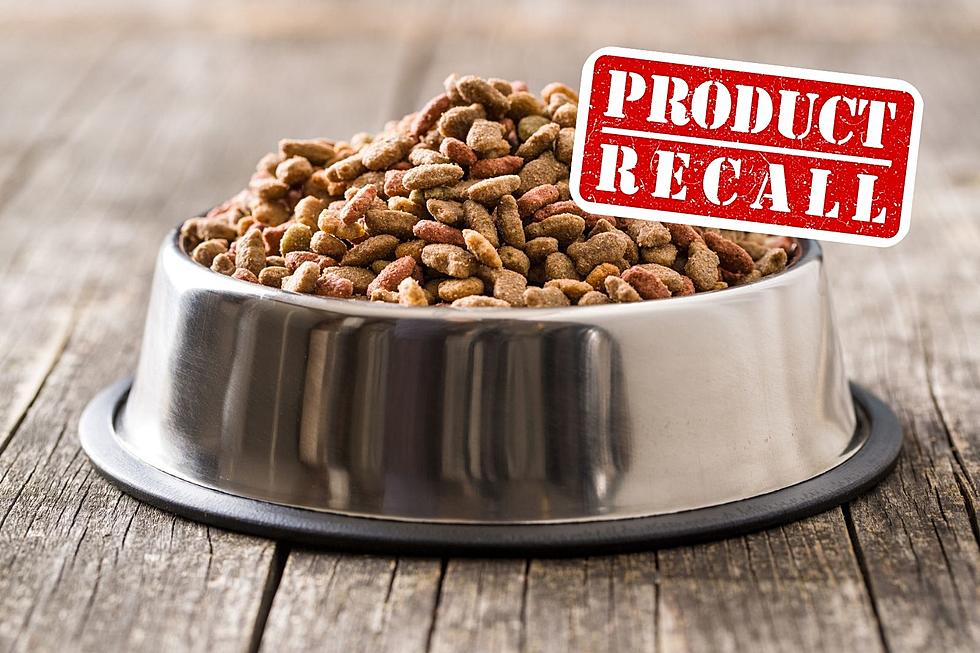 WARNING!  Dog Food Recalled in Minnesota and Nationwide