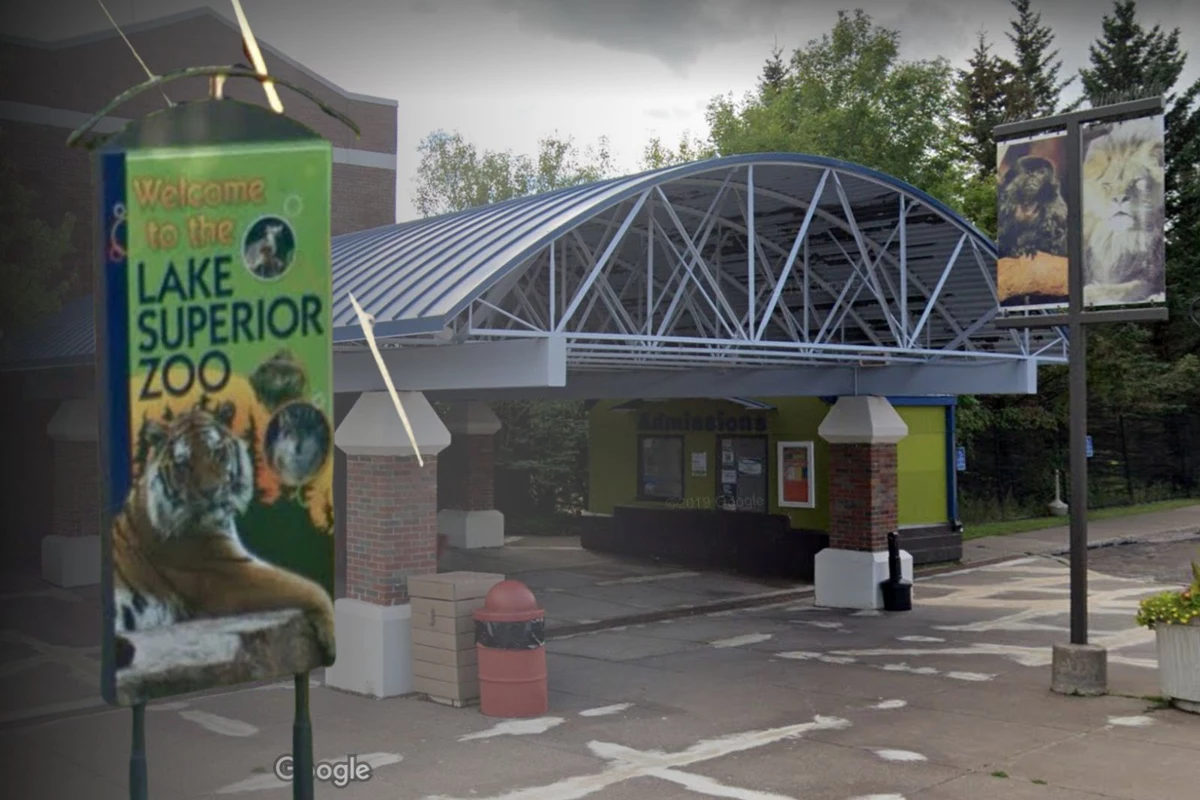 Mn Zoo Events Today Mn Zoo Events Today