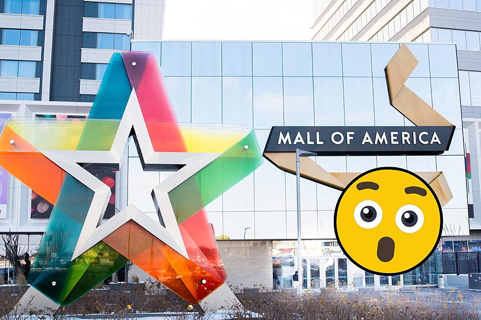 100,000 Bugs Just Released at Mall of America in Minnesota