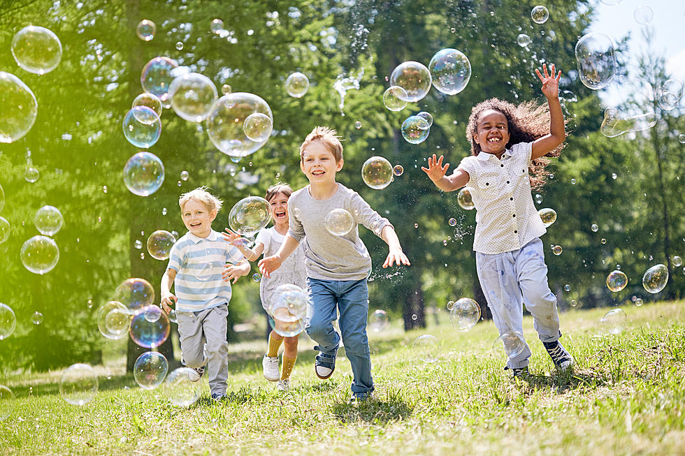 Rochester Park Full Of Free Family Fun On Saturday!