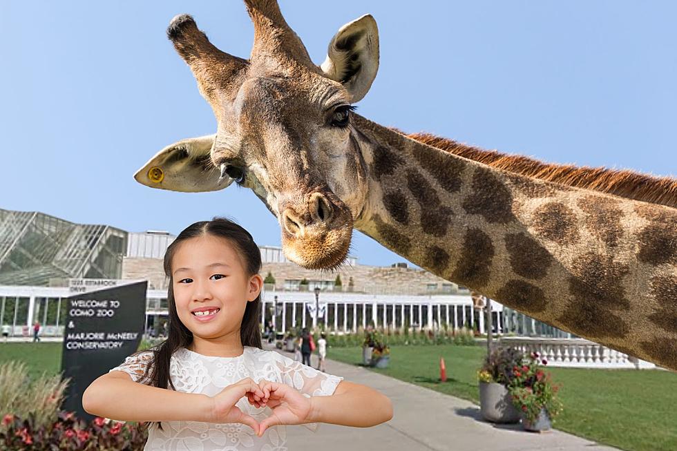 NEW Attraction for Families Now Open at Zoo in Minnesota