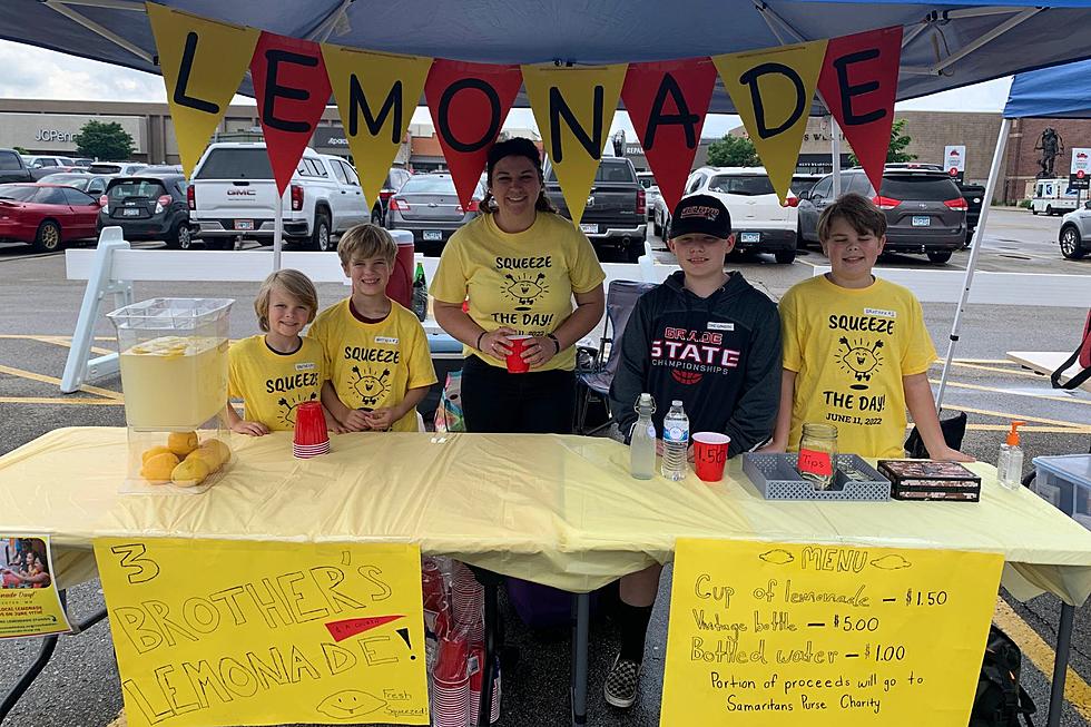 FREE SWAG! Lemonade Day Back for Youth in Rochester, MN Area