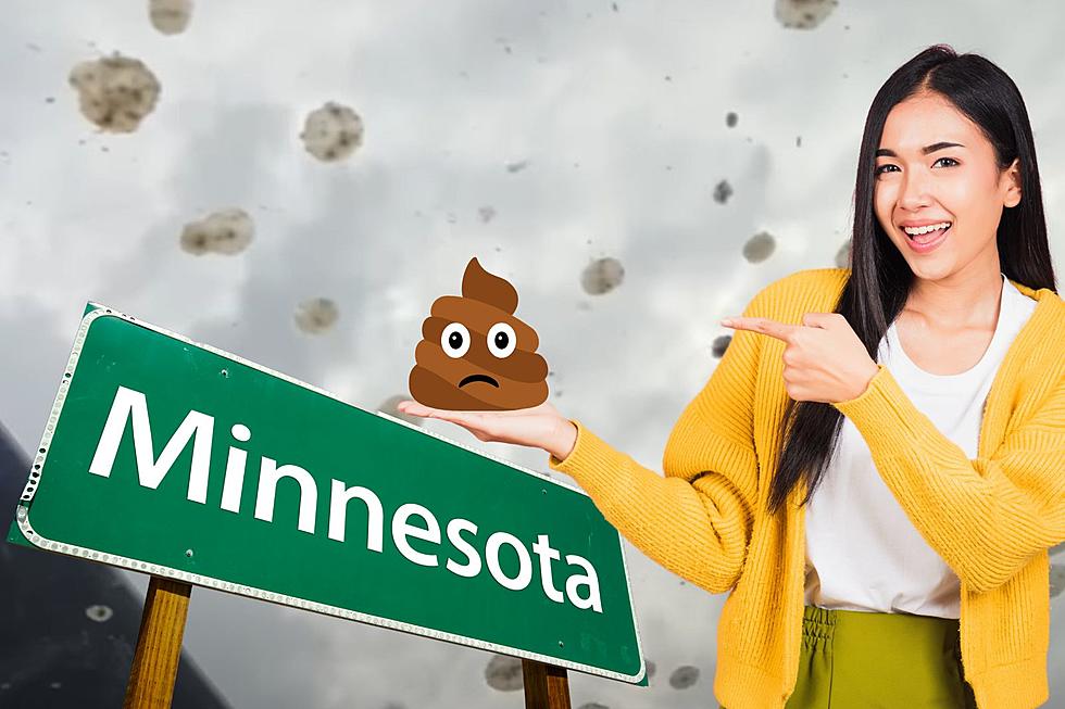 5 Things To Do Now Before More Poop Rains Down in Minnesota