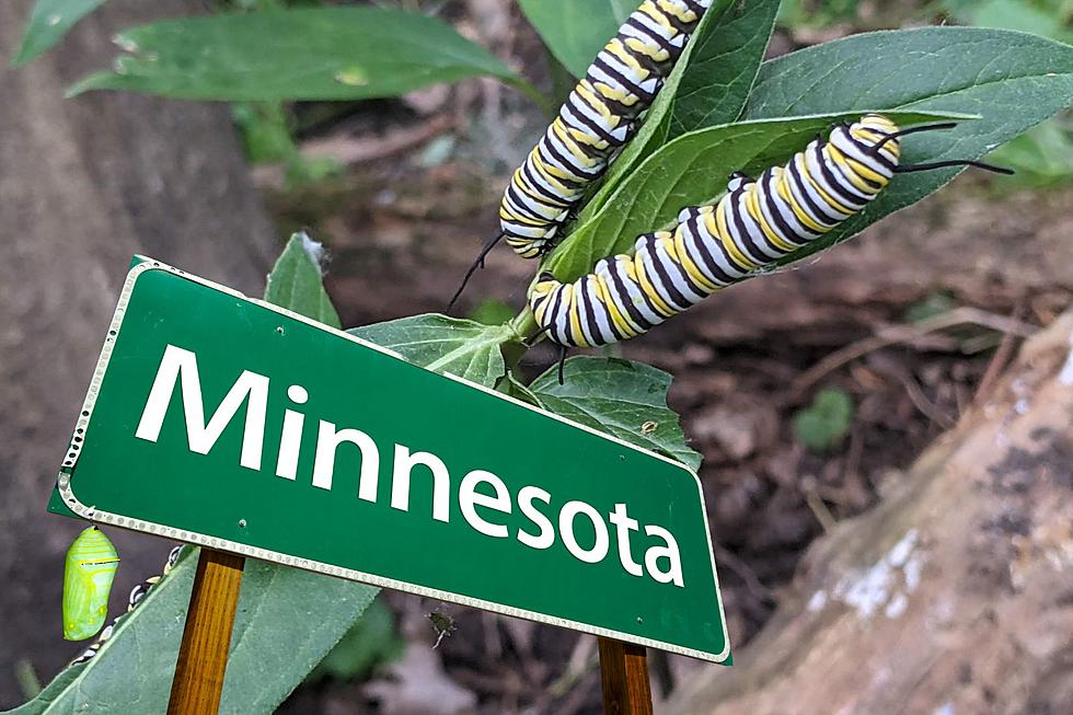 Rare Video Shows One Of Nature's Miracles In Minnesota