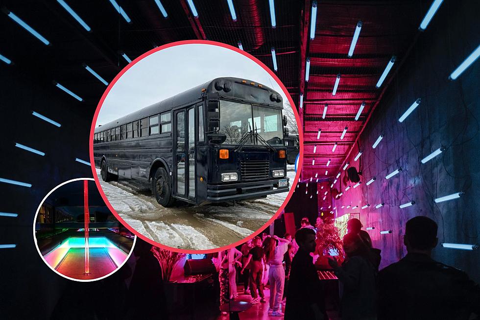 Very Colorful Party Bus Now for Sale in Minnesota…With Pole