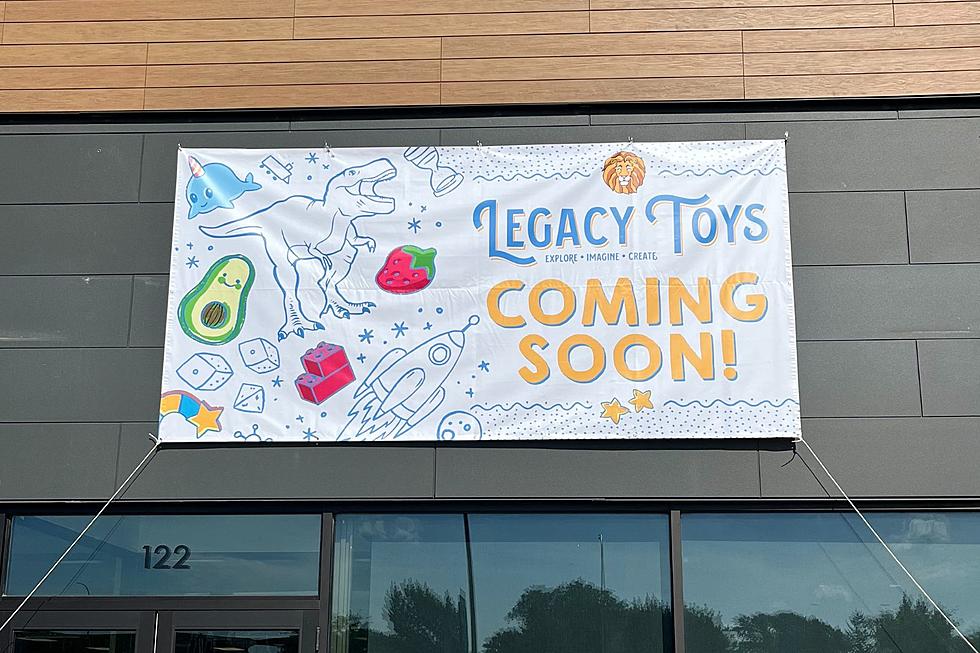 Opening Soon! New Toy Store in Rochester, Minnesota