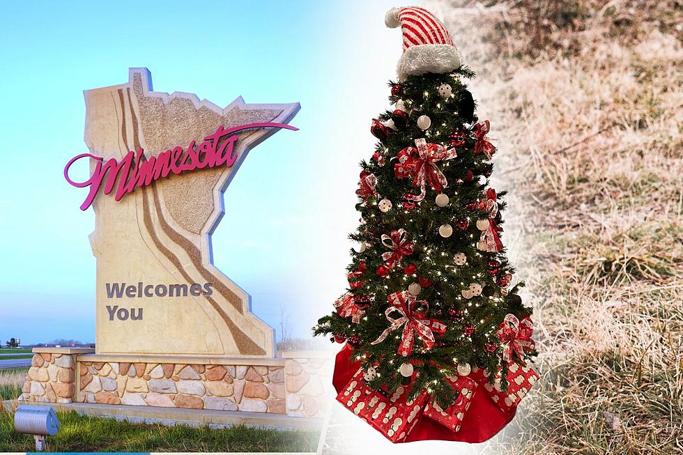STRANGE!  Number Of Years With Brown Christmases In Minnesota