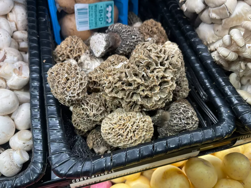 https://psychedelic-today.com/product-category/buy-shrooms-online/best-edible-mushrooms/
