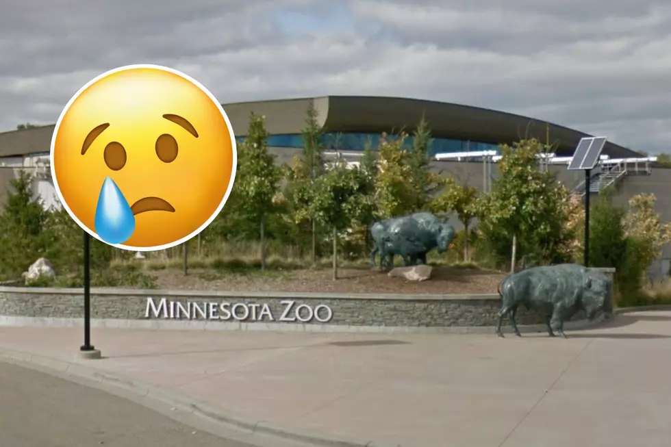 Popular Animal At Minnesota Zoo Has Sadly Died