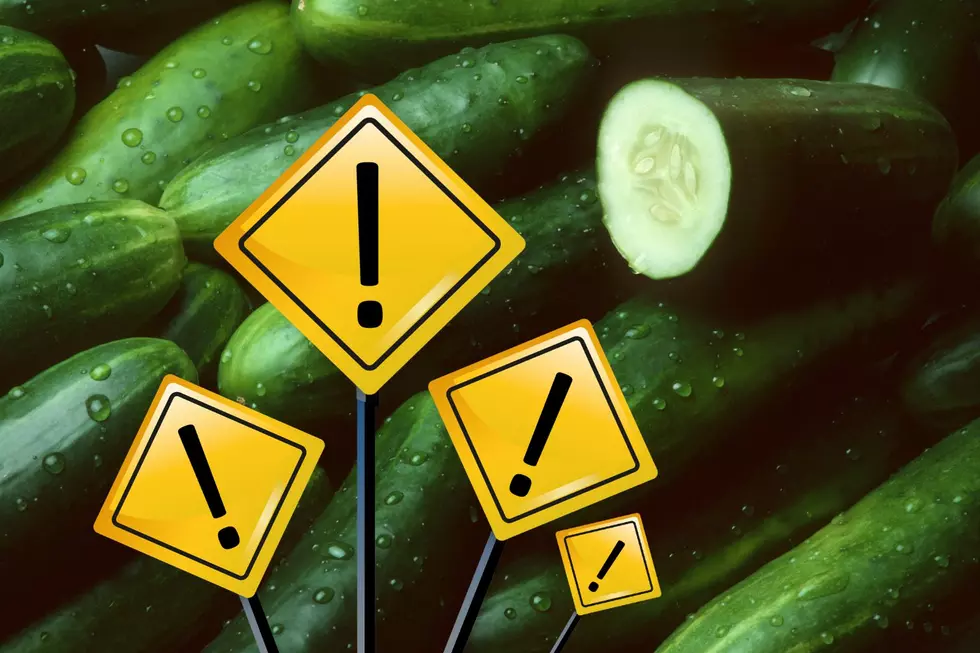 Minnesota and Iowa Now Included in Latest Cucumber Salmonella Investigation