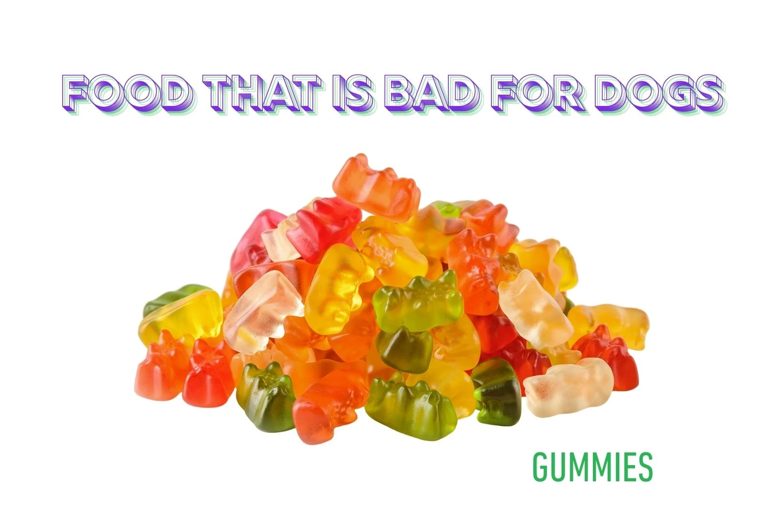 CAUTION These Popular Halloween Foods Are Dangerous To MN Dogs