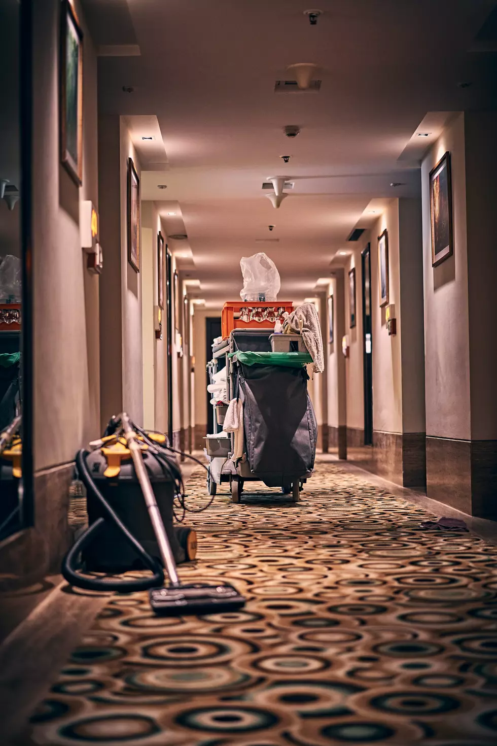 Photo by Ashwini Chaudhary(Monty) on Unsplash