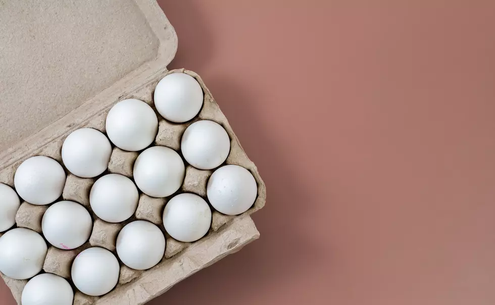 Close-up shot of egg carton full with white chicken eggs on color background. Copy space for text.