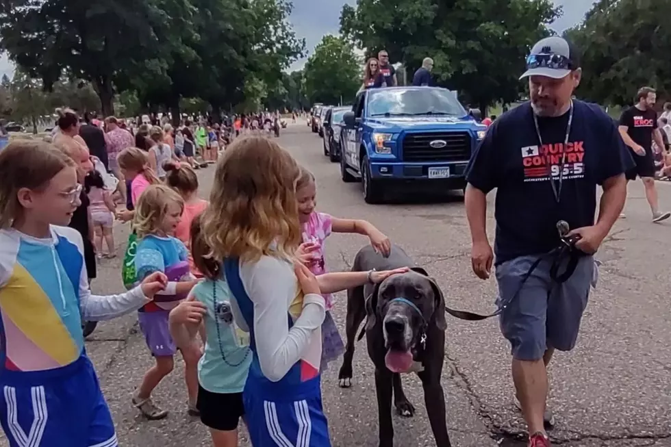 Everything You Need To Know About The 2026 Rochesterfest Parade
