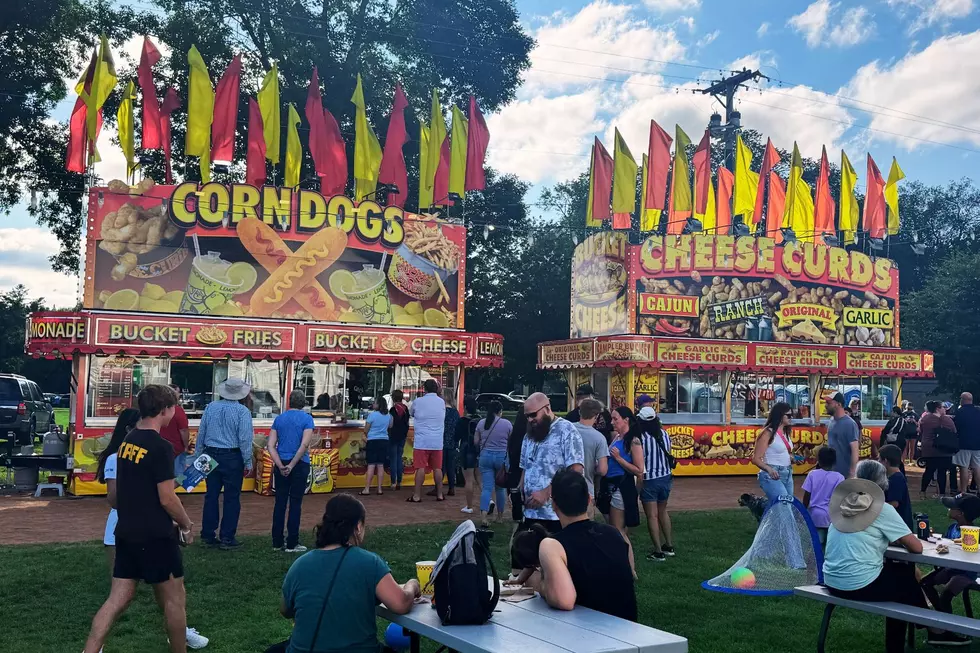 Rochesterfest Food Guide: Your Complete List of Festival Eats, Treats & Drinks