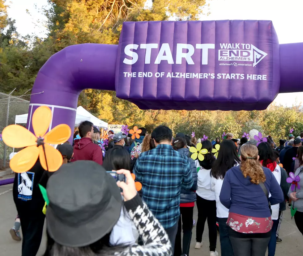 Walk to End Alzheimer’s Rochester 2026 – Everything You Need to Know