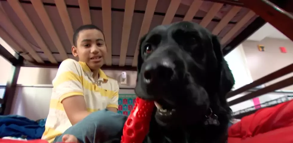 YouTube @Candocanines