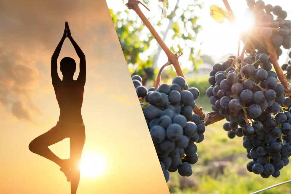 One of Rochester’s Most Beautiful Yoga Classes Returns This July