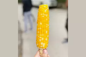 Free Sweet Corn Is Coming To This SE Minnesota Festival