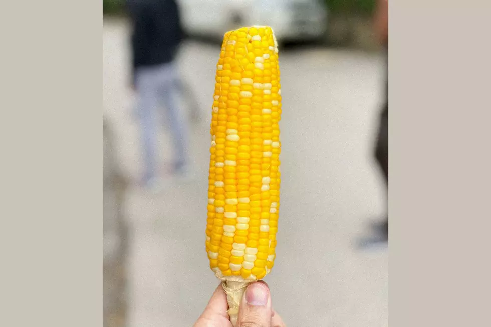 Free Sweet Corn Is Coming To This SE Minnesota Festival