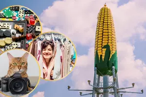 Top 5 Events Happening This Weekend Near Rochester, MN