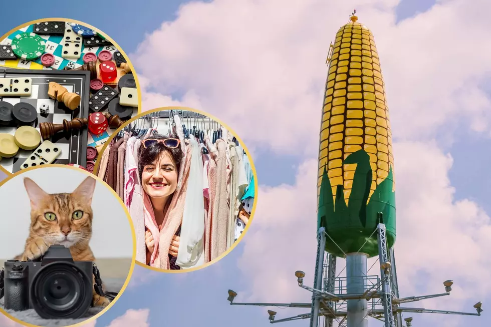 5 Things To Do Near Rochester, Minnesota This Weekend (August 14th – 16th)