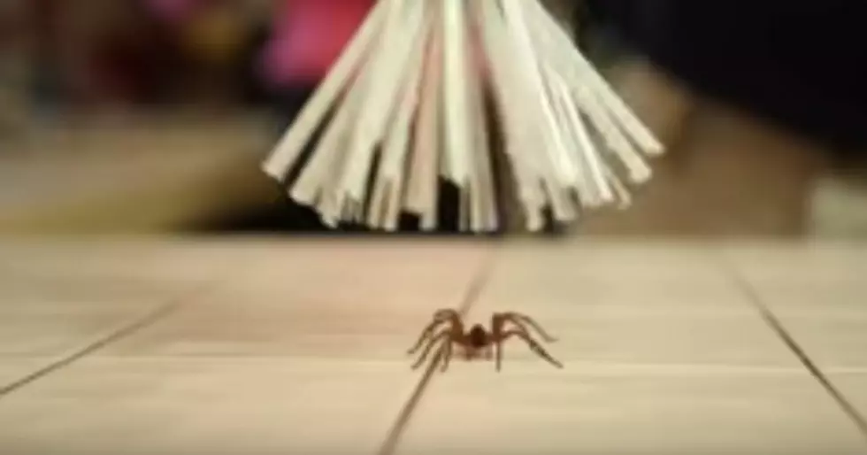 This is a Spider Catcher [VIDEO]