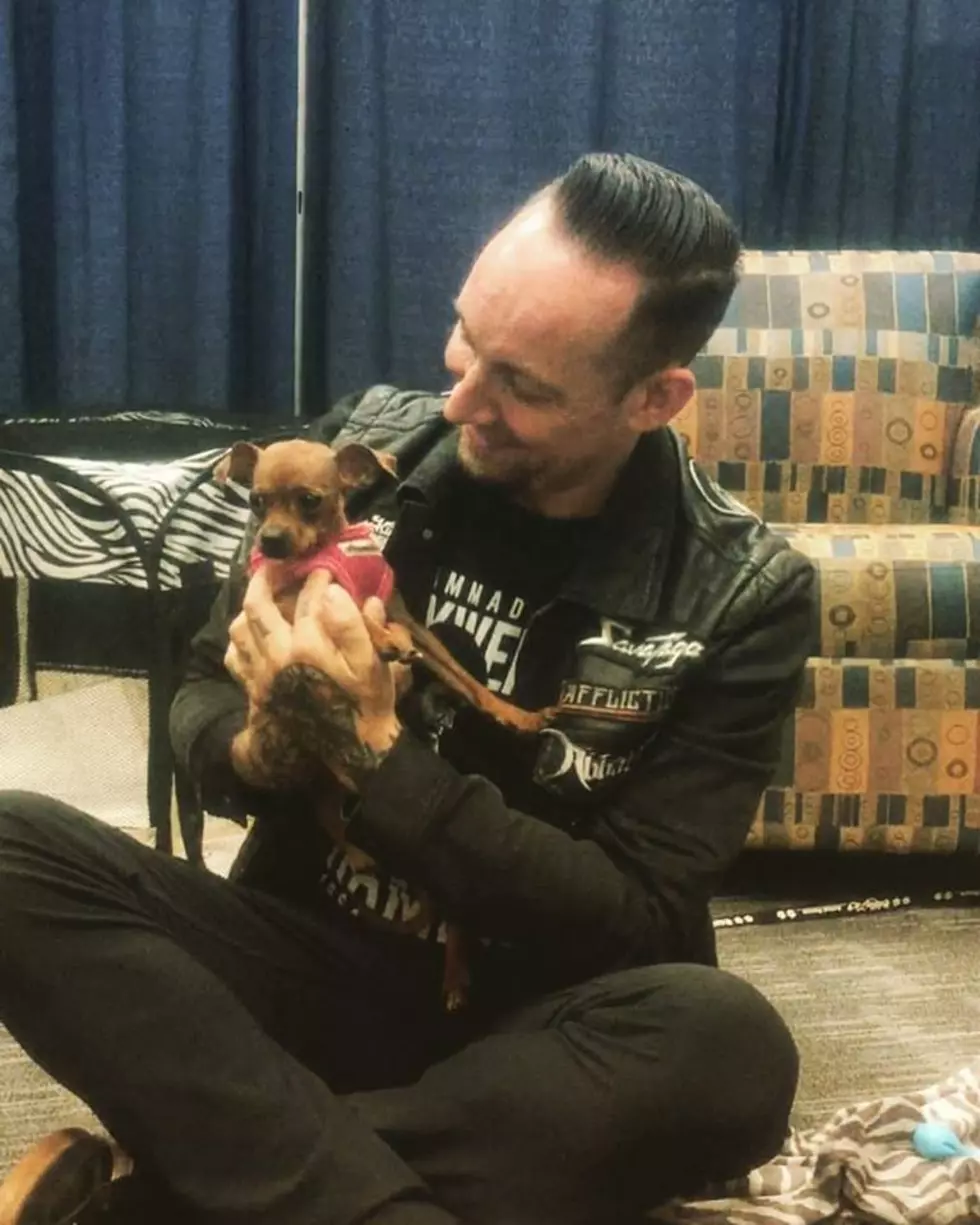 Volbeat Visits Motley Zoo Animal Rescue